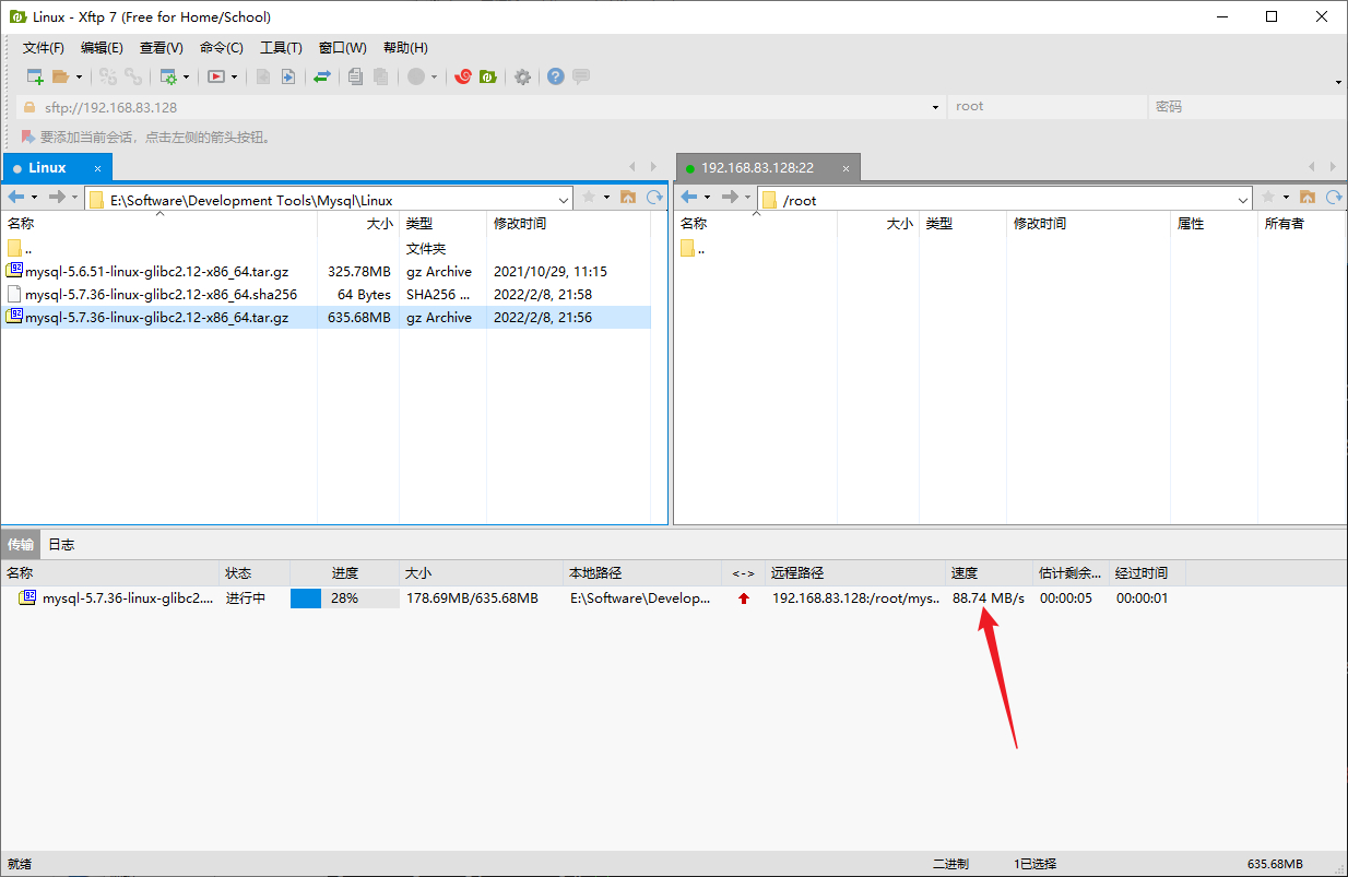 Debian10安装MySQL5.7详细教程