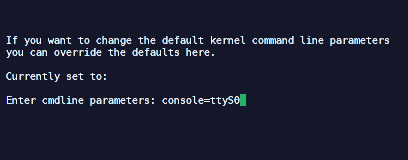 Scaleway 星尘 实例使用netboot.xyz重装系统
